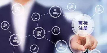 智慧應(yīng)對(duì)商標(biāo)查詢的盲查期 信息咨詢服務(wù)的策略與指南